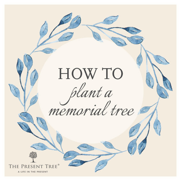 Planting a Memorial Tree