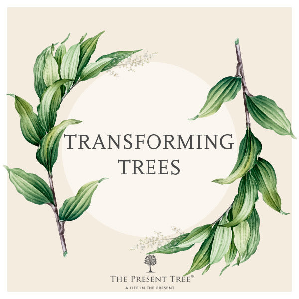 Transforming Trees