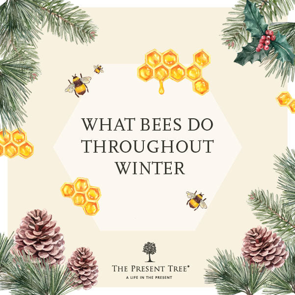 How Do Bees Survive In Winter? | Save Our Bees | The Present Tree