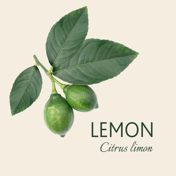 Every Lemon tree has a story