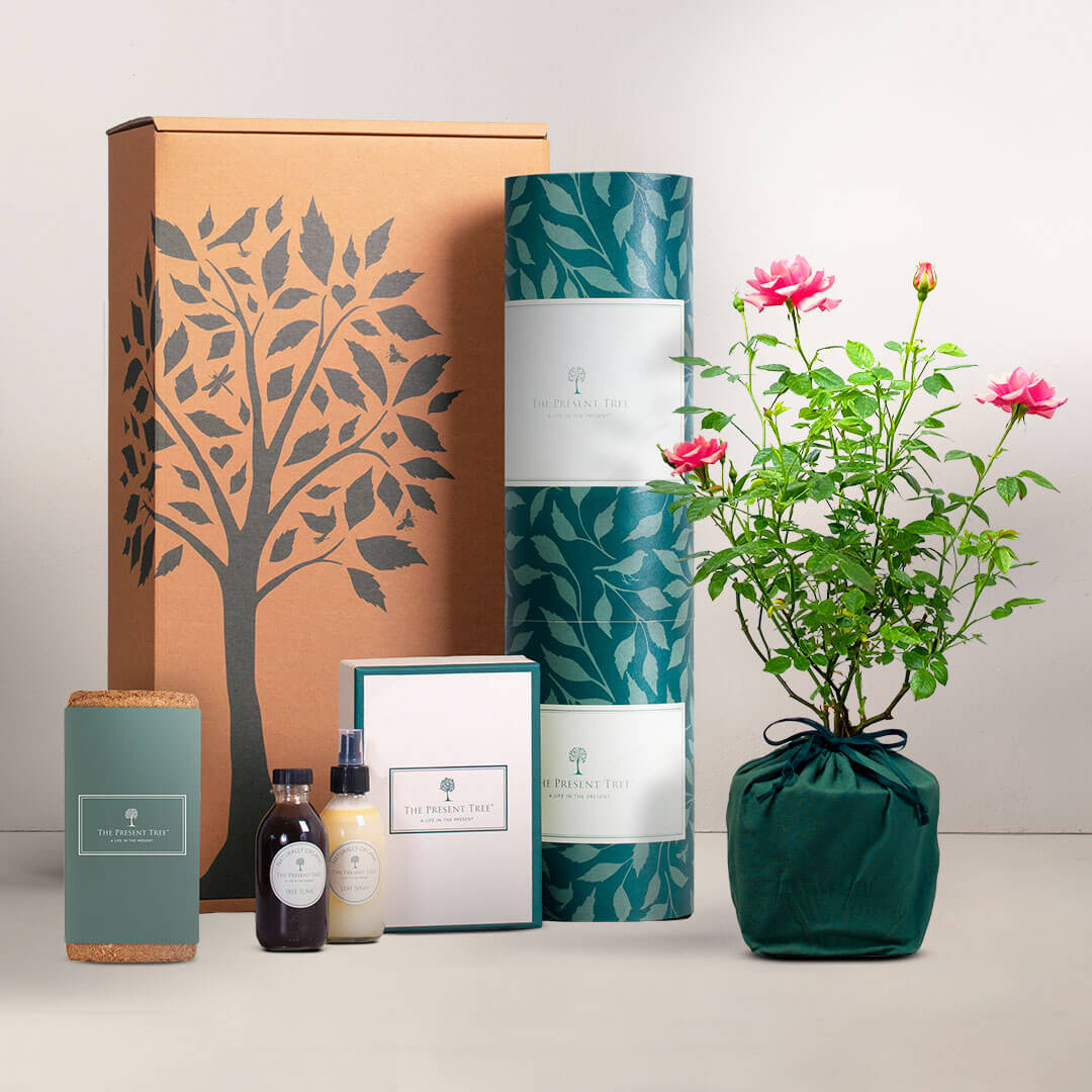 Wedding Gift Hamper Tree Gifts The Present Tree