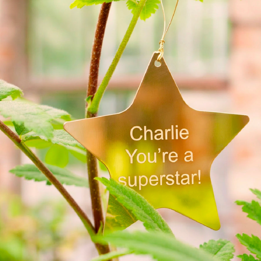 Brass star-shaped ornament with 'Charlie You're a superstar!' text hanging on a plant