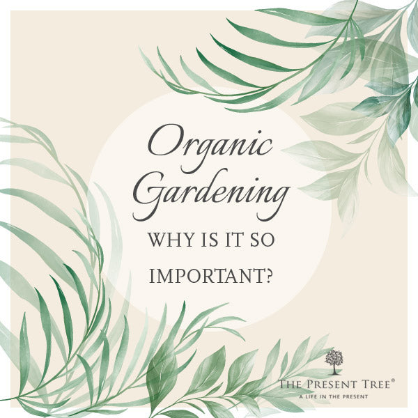 Organic Gardening Guide