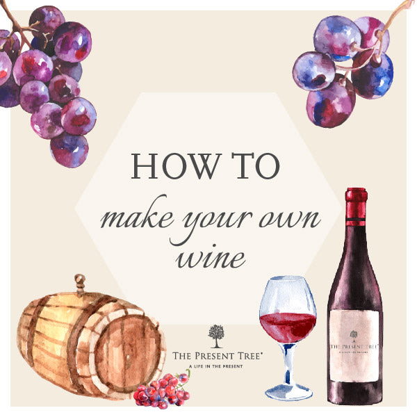 Making Your Own Wine