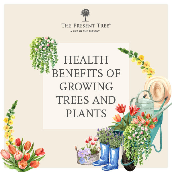 Benefits of Growing Plants