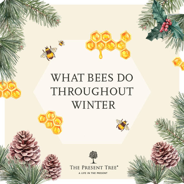 How do Bees Survive in Winter?