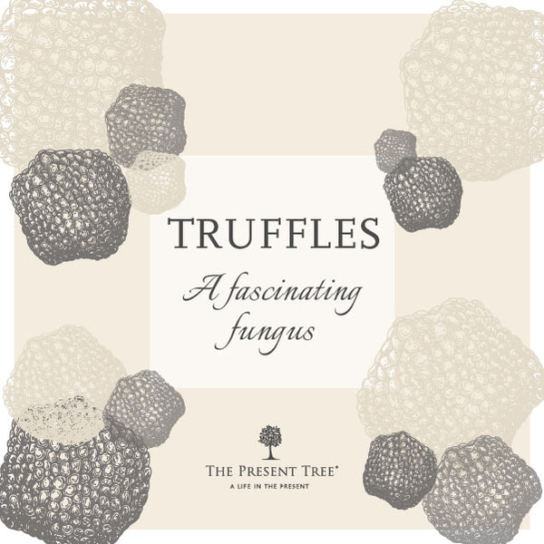 Truffles - A Fascinating Fungus