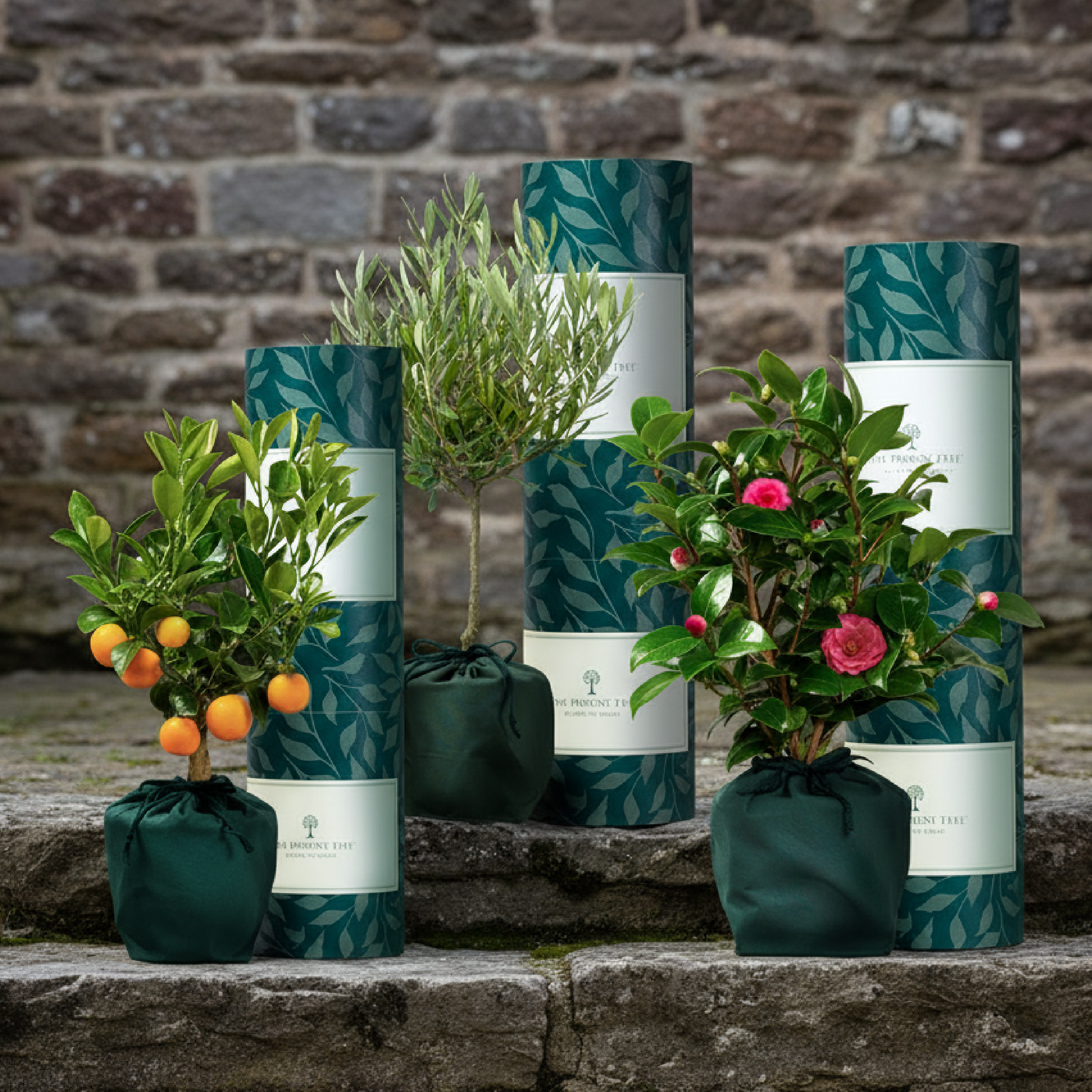 Outdoor Garden Gifts | The Present Tree | Tree & Plant Gifts