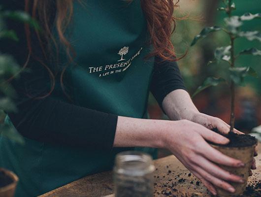 Thinking of You Gifts | Meaningful Tree Gifts | The Present Tree