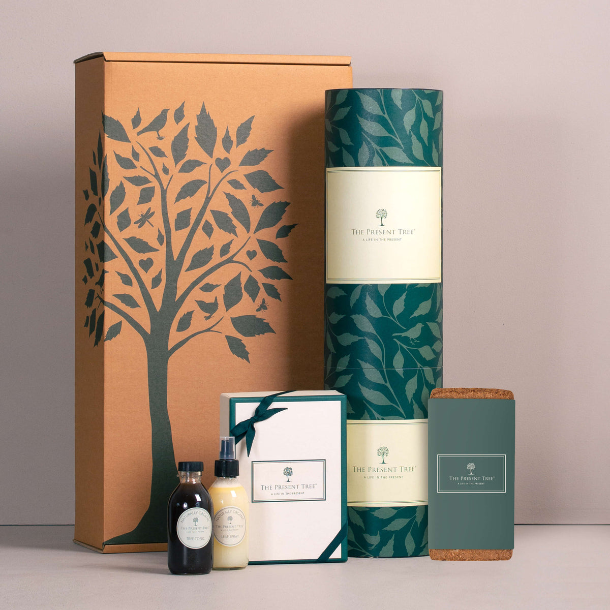 Irish Oak tree