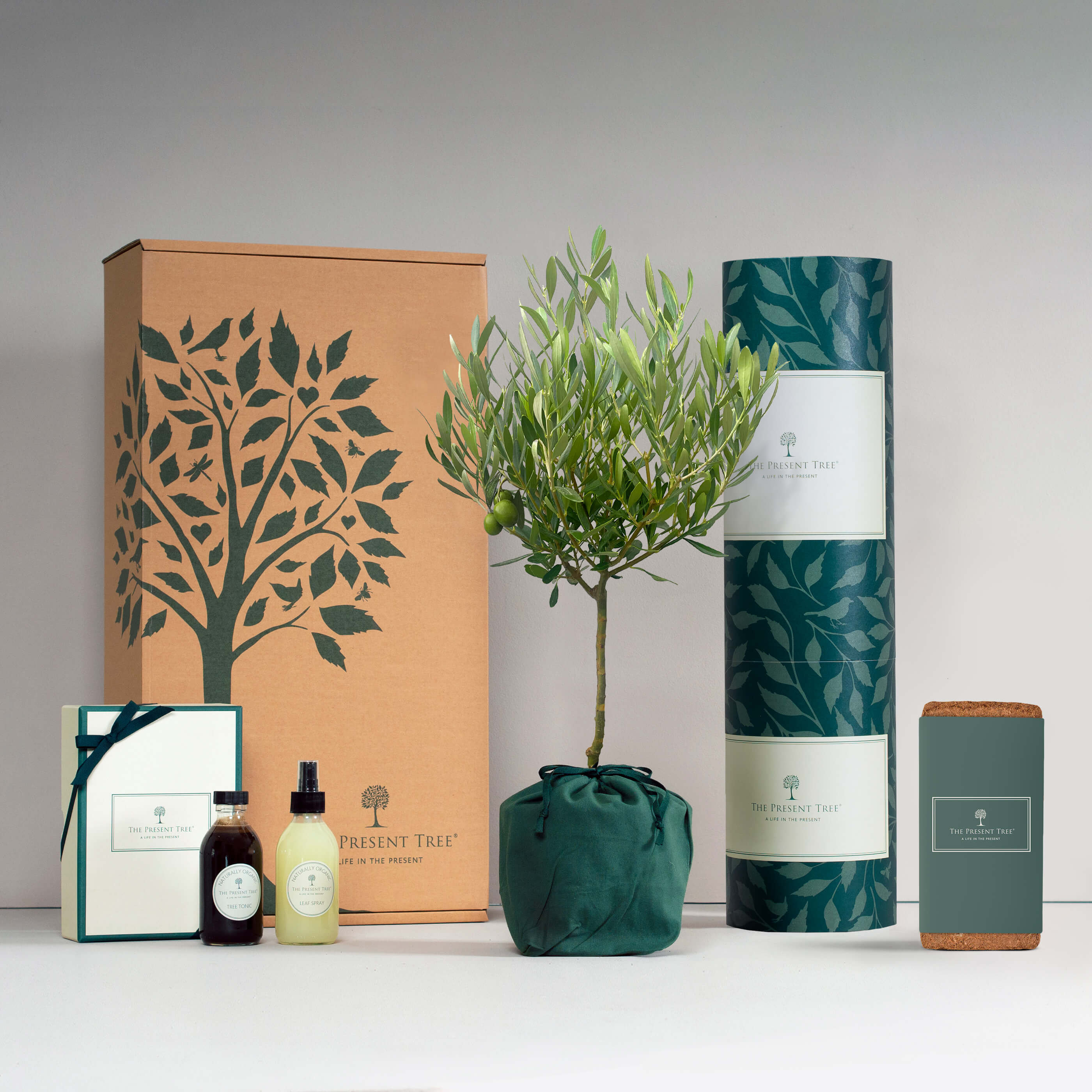 Evergreen Garden Wedding