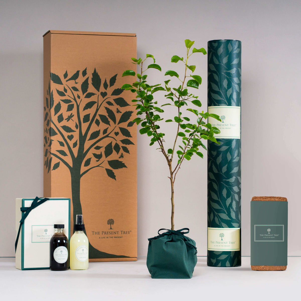 Wild Pear tree - Large, Garden Gift Hamper