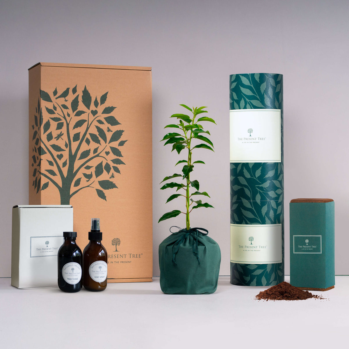 Entwined Cherry Tree Gift Hamper