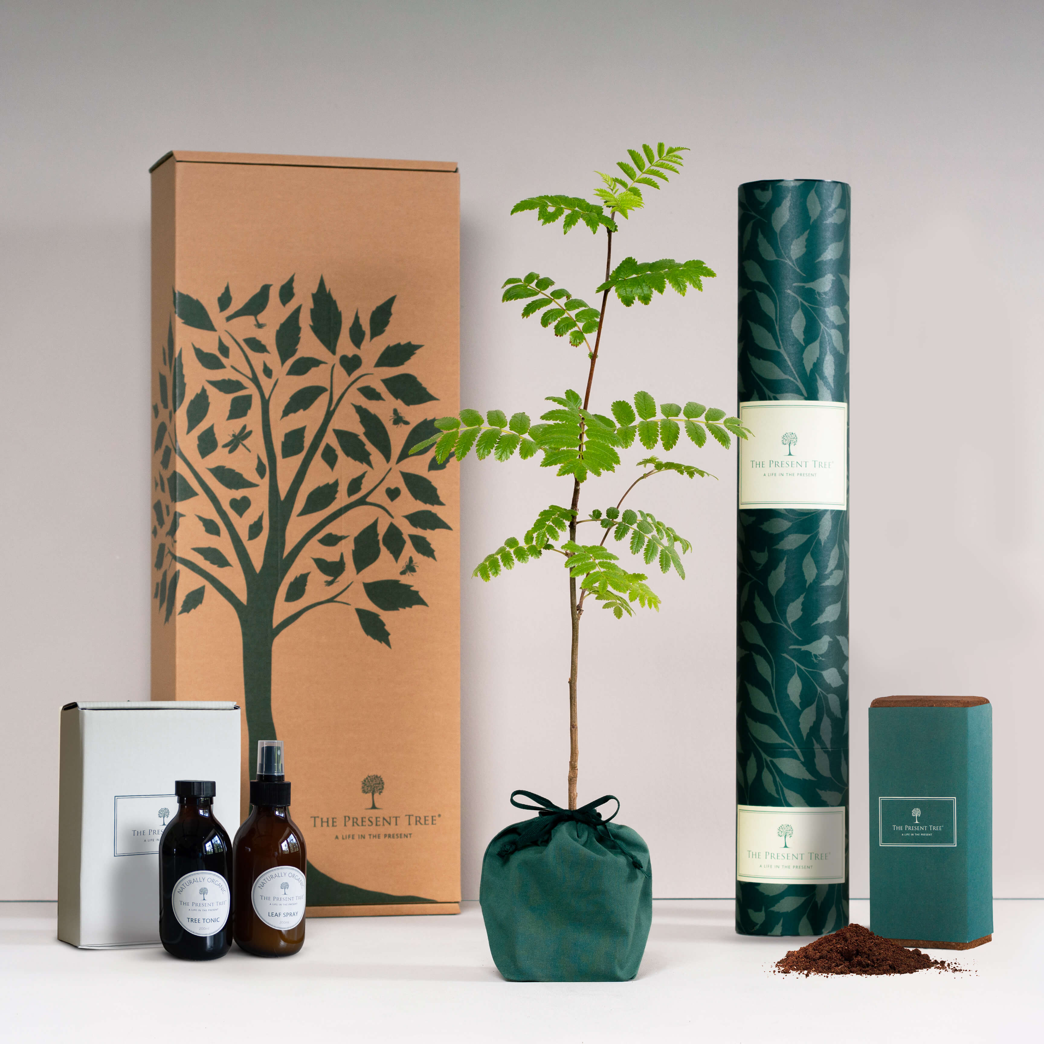Father's Day Gift Hamper | The Present Tree | Garden Hamper