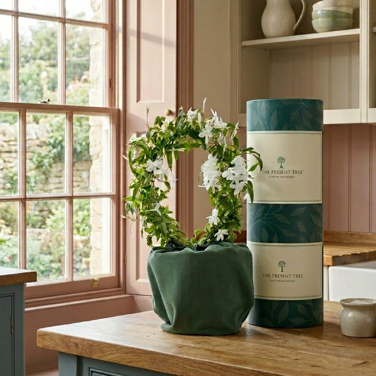 Jasmine plant gift in green bag and parcel in home setting at window
