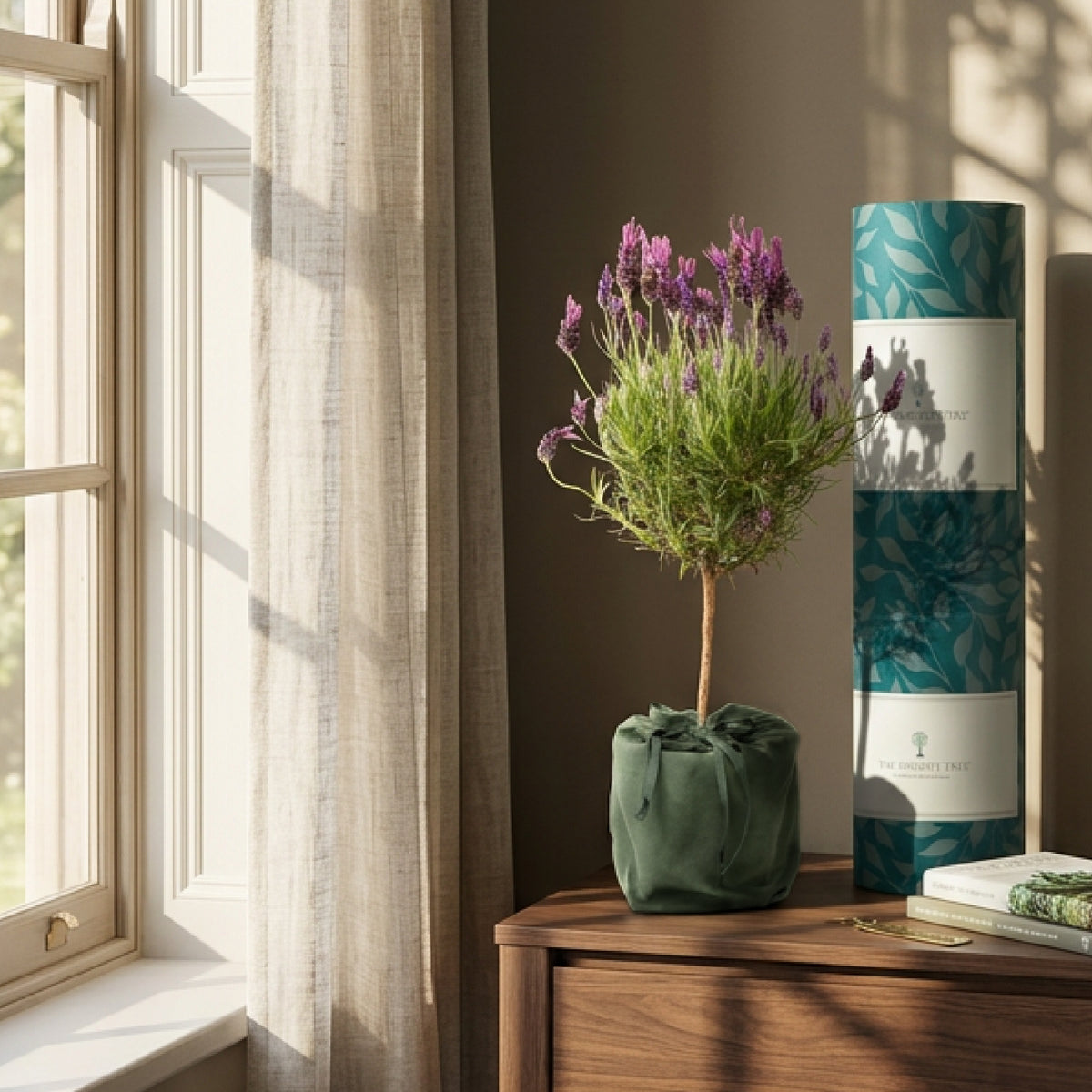 Lavender tree gift in green bag with parcel in home setting at window