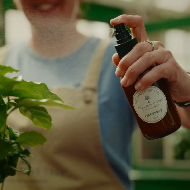 100% organic leaf spray