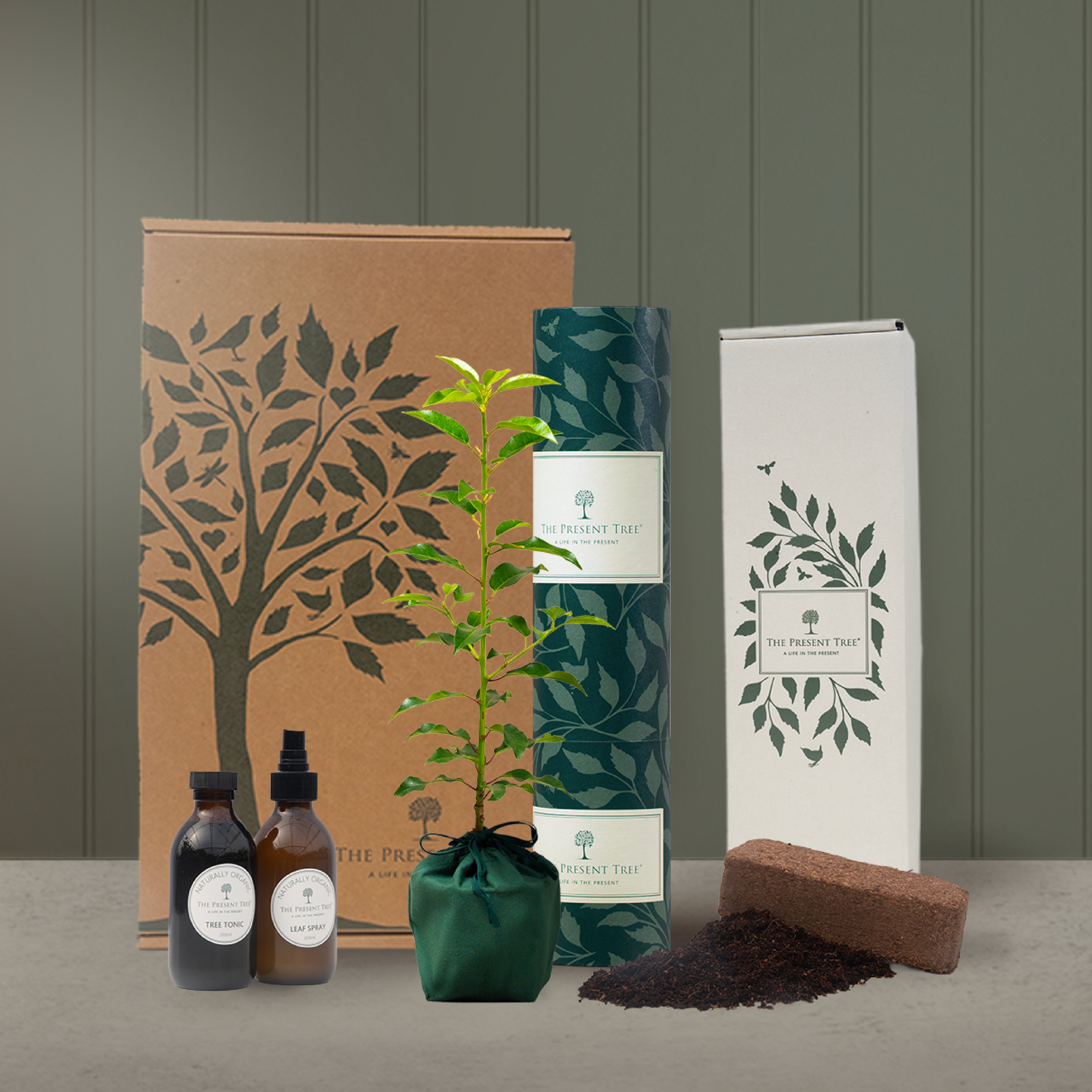 Organic Plant Care Kit | The Present Tree | Tree Gifts