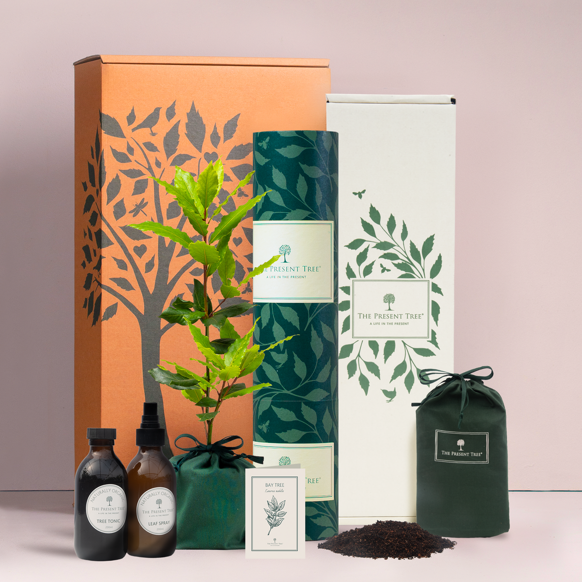 Bay tree