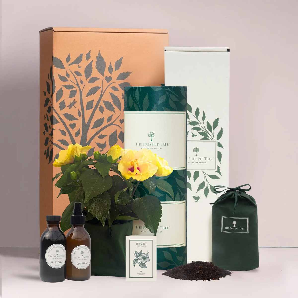 Small yellow Hibiscus gift in green bag with tree care guide and The Present Tree gift hamper, including tree tonic, leaf spray and compost brick, in plain background.