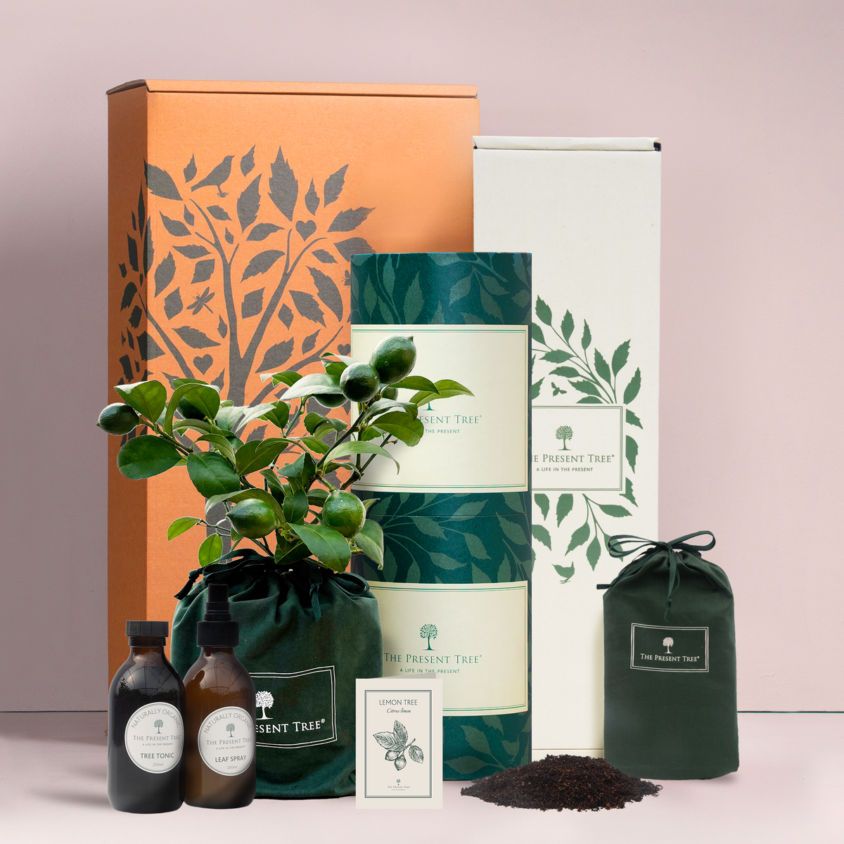 Small Lemon tree gift in green bag with tree care guide and The Present Tree gift hamper, including tree tonic, leaf spray and compost brick, on a plain background