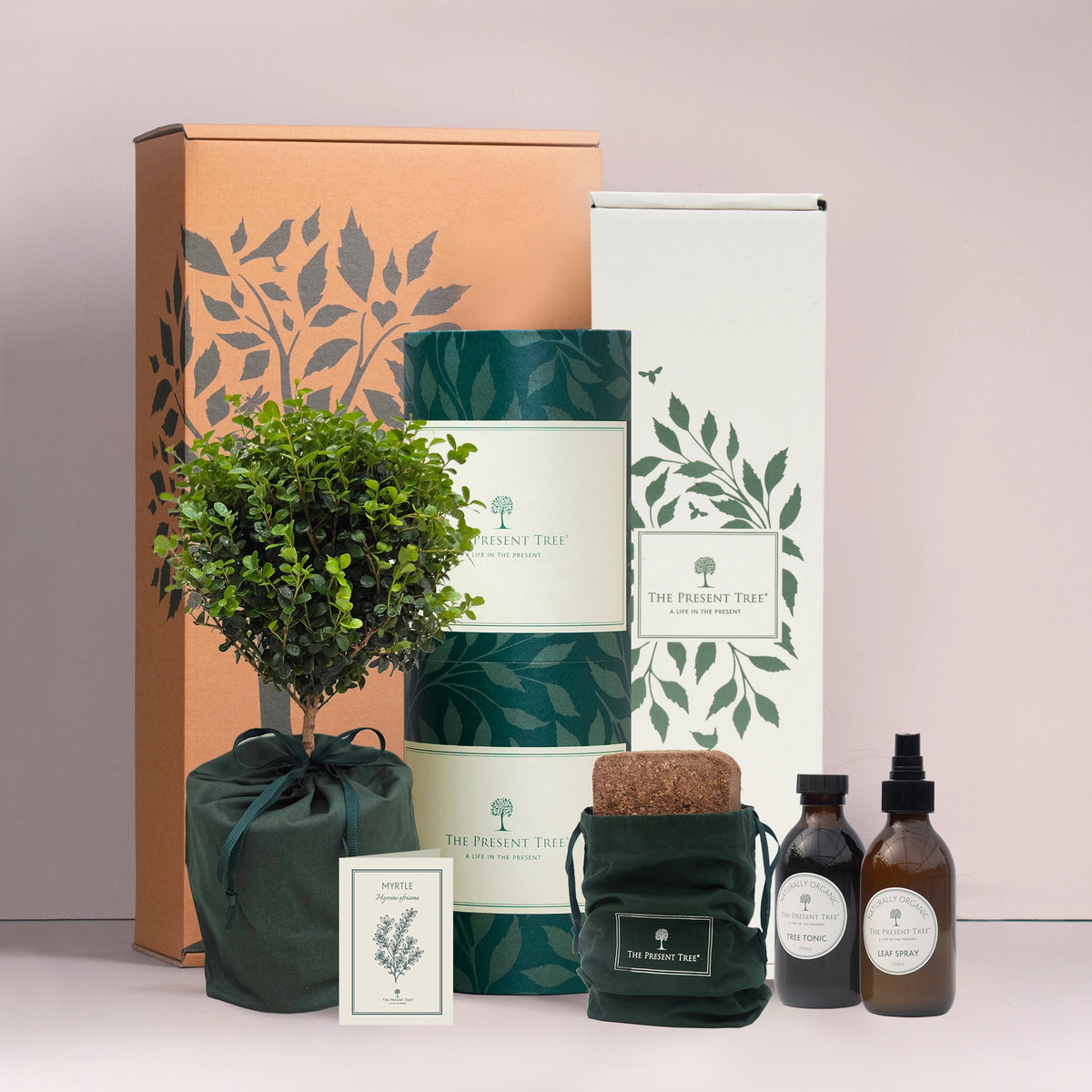 Small Myrtle tree gift in green bag with tree care guide and The Present Tree gift hamper, including tree tonic, leaf spray and compost brick, in plain background. 