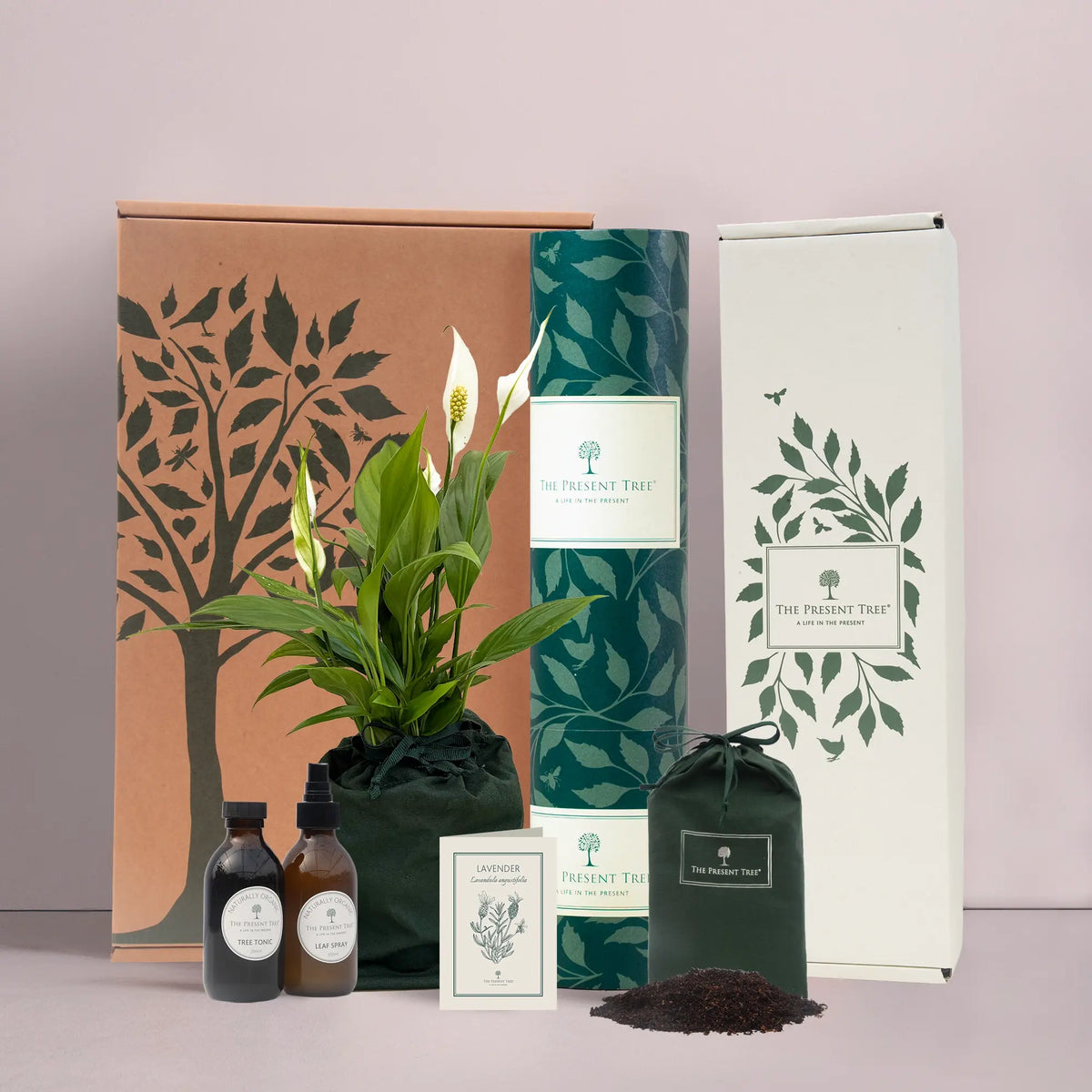 Small Peace Lily gift in green bag with tree care guide and The Present Tree gift hamper, including tree tonic, leaf spray and compost brick, in plain background. 