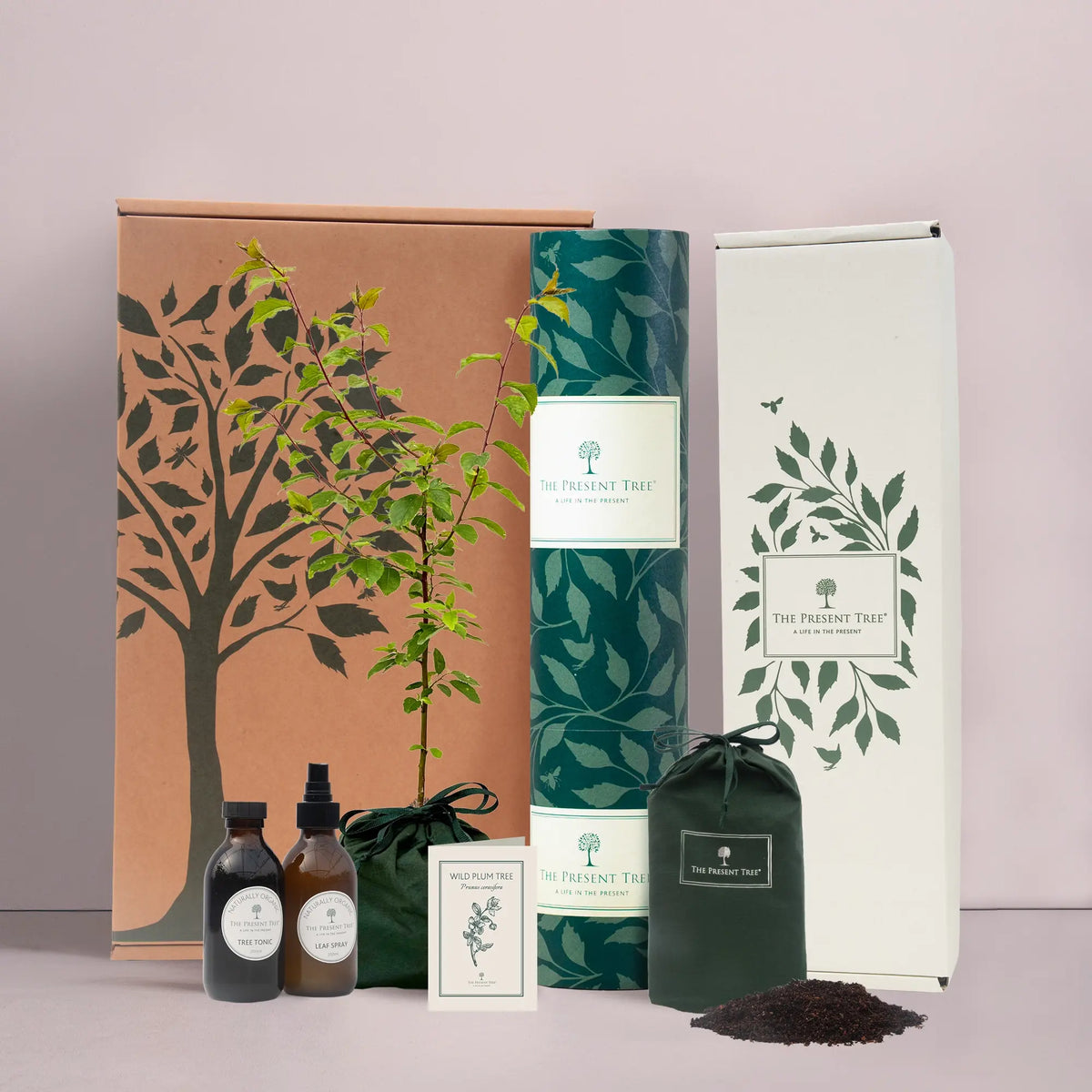 Small Wild Plum tree gift in green bag with tree care guide and The Present Tree gift hamper, including tree tonic, leaf spray and compost brick, in plain background. 