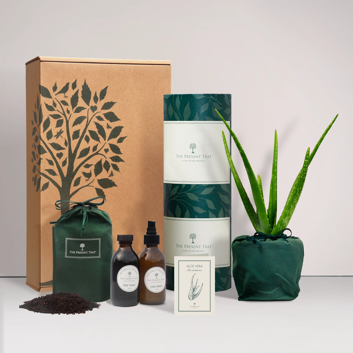 Aloe Vera gift in a green bag with tree care guide and The Present Tree gift hamper, including tree tonic, leaf spray and compost brick, on a plain background