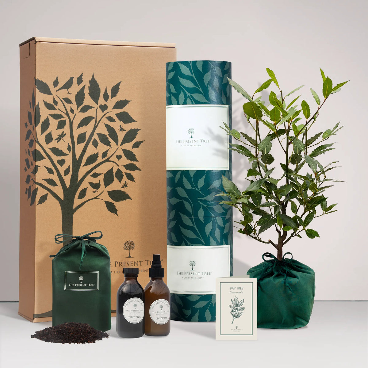 Large Bay tree gift in a green bag with tree care guide and The Present Tree gift hamper, including tree tonic, leaf spray and compost brick, on a plain background