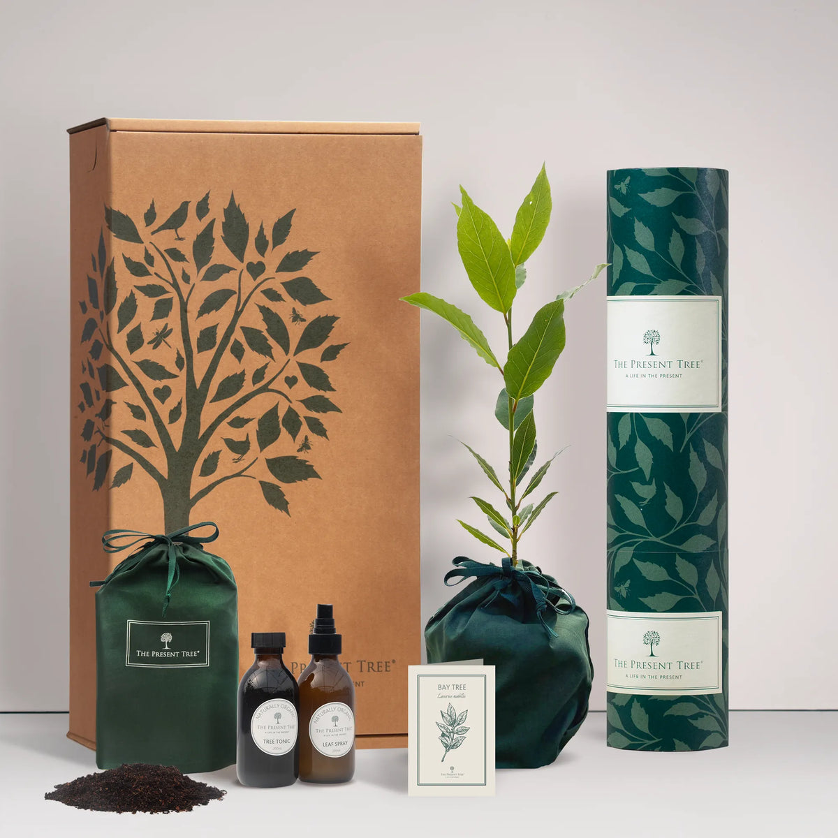 Small Bay tree gift in a green bag with tree care guide and The Present Tree gift hamper, including tree tonic, leaf spray and compost brick, on a plain background
