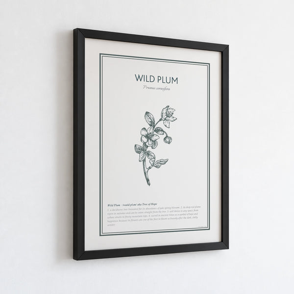 A framed Wild Plum Botanical print hanging on a wall.