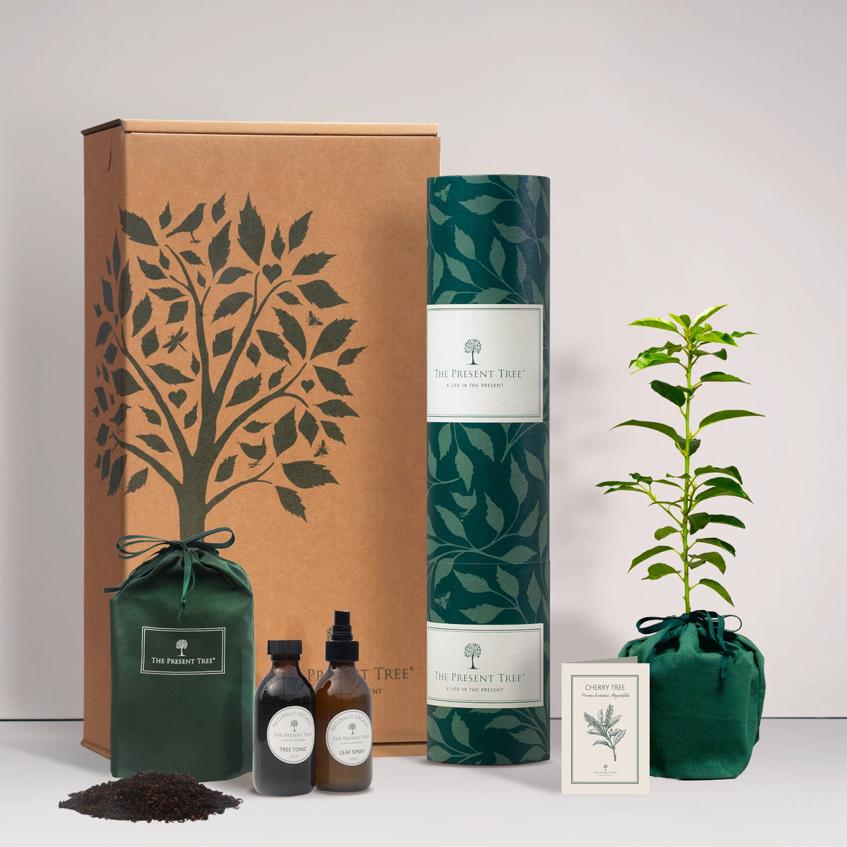 Small Cherry tree gift in a green bag with tree care guide and The Present Tree gift hamper, including tree tonic, leaf spray and compost brick, on a plain background