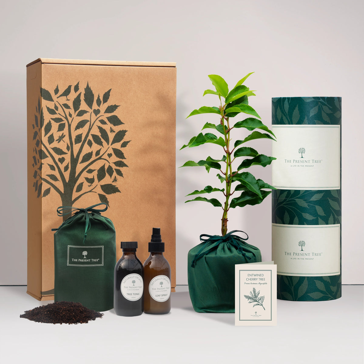 Small Entwined Cherry tree gift in a green bag with tree care guide and The Present Tree gift hamper, including tree tonic, leaf spray and compost brick, on a plain background
