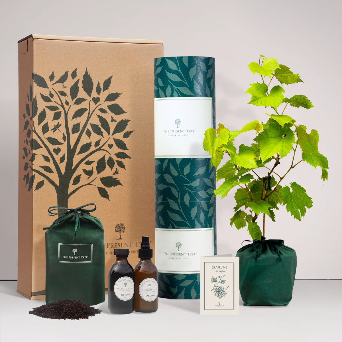 Large Grapevine gift in a green bag with tree care guide and The Present Tree gift hamper, including tree tonic, leaf spray and compost brick, on a plain background
