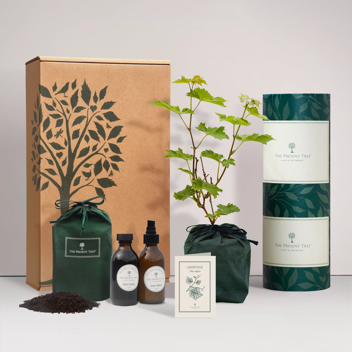 Small Grapevine gift in a green bag with tree care guide and The Present Tree gift hamper, including tree tonic, leaf spray and compost brick, on a plain background