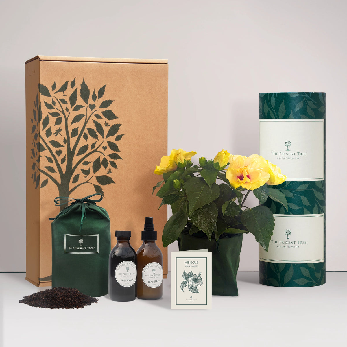 Hibiscus gift in a green bag with tree care guide and The Present Tree gift hamper, including tree tonic, leaf spray and compost brick, on a plain background