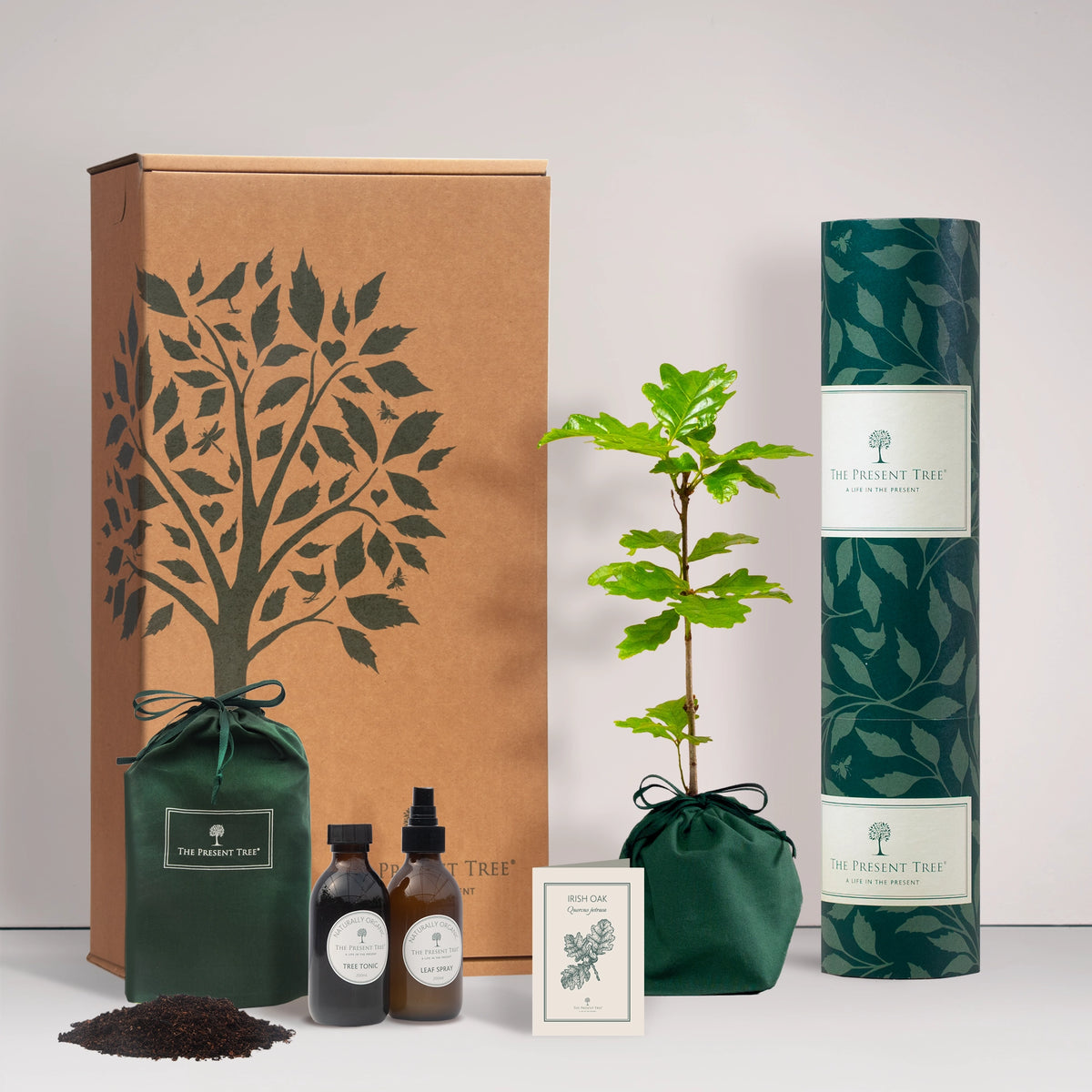 Small Irish Oak tree gift in a green bag with tree care guide and The Present Tree gift hamper, including tree tonic, leaf spray and compost brick, on a plain background