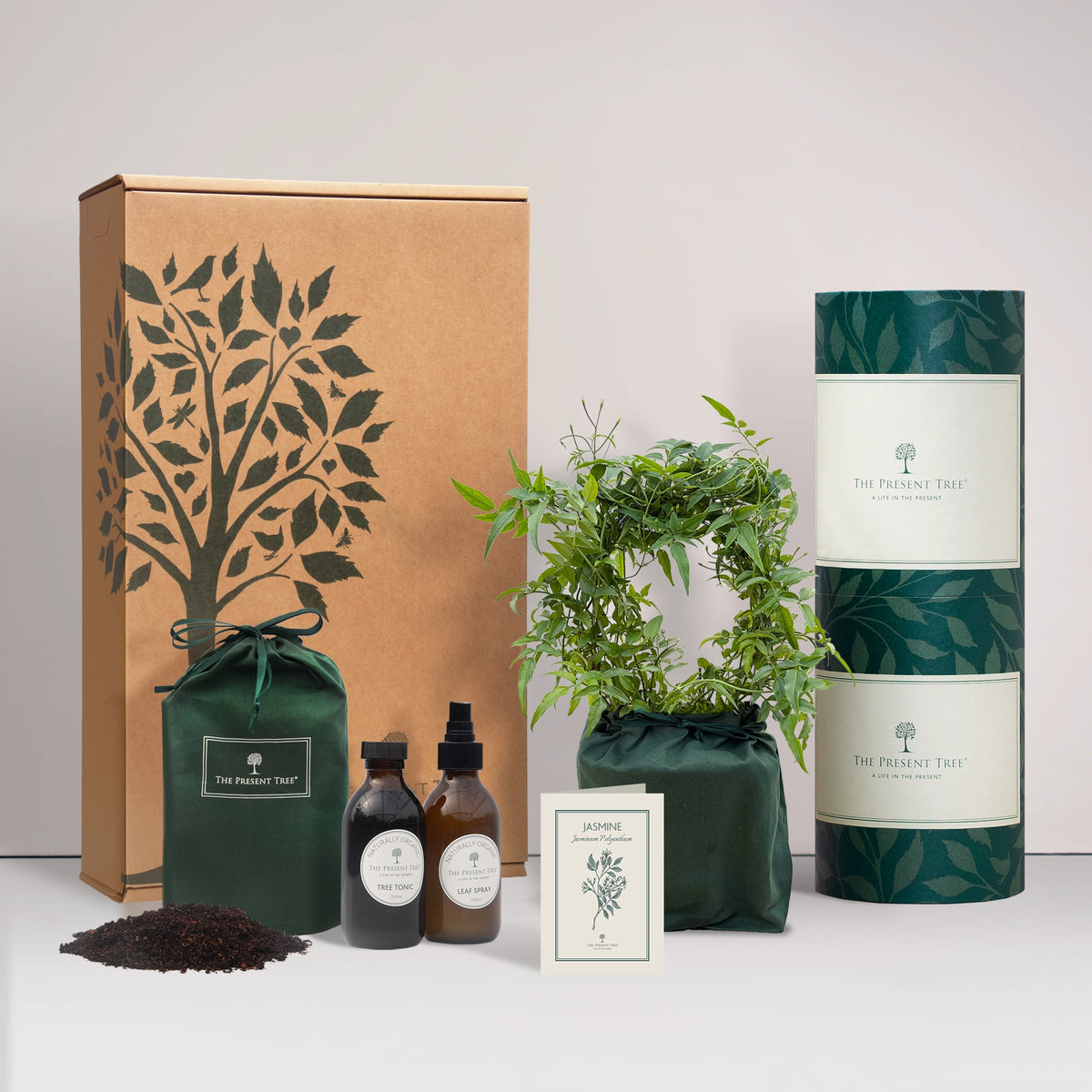 Jasmine gift in a green bag with tree care guide and The Present Tree gift hamper, including tree tonic, leaf spray and compost brick, on a plain background