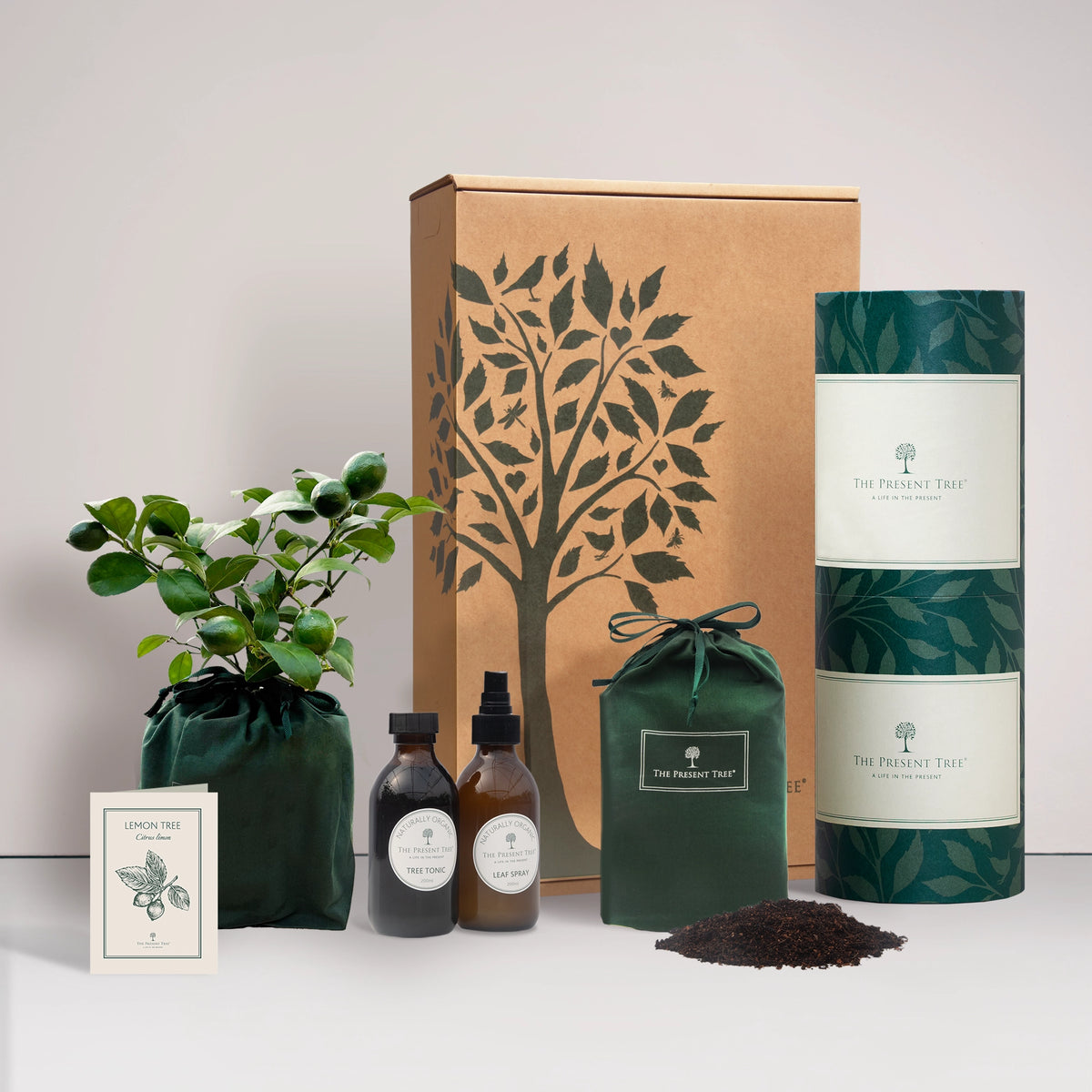 Lemon tree gift in a green bag with tree care guide and The Present Tree gift hamper, including tree tonic, leaf spray and compost brick, on a plain background