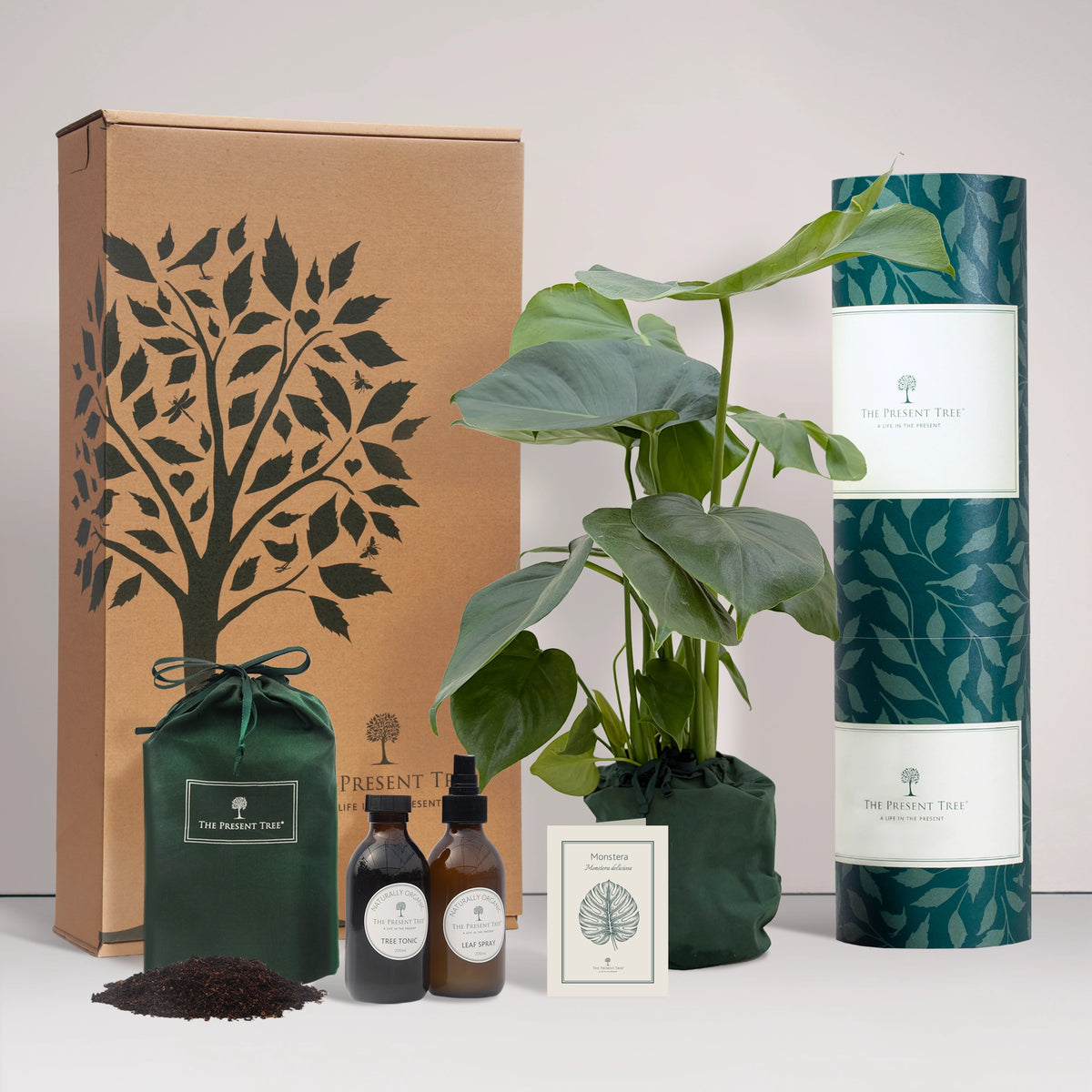 Large Monstera gift in a green bag with tree care guide and The Present Tree gift hamper, including tree tonic, leaf spray and compost brick, on a plain background