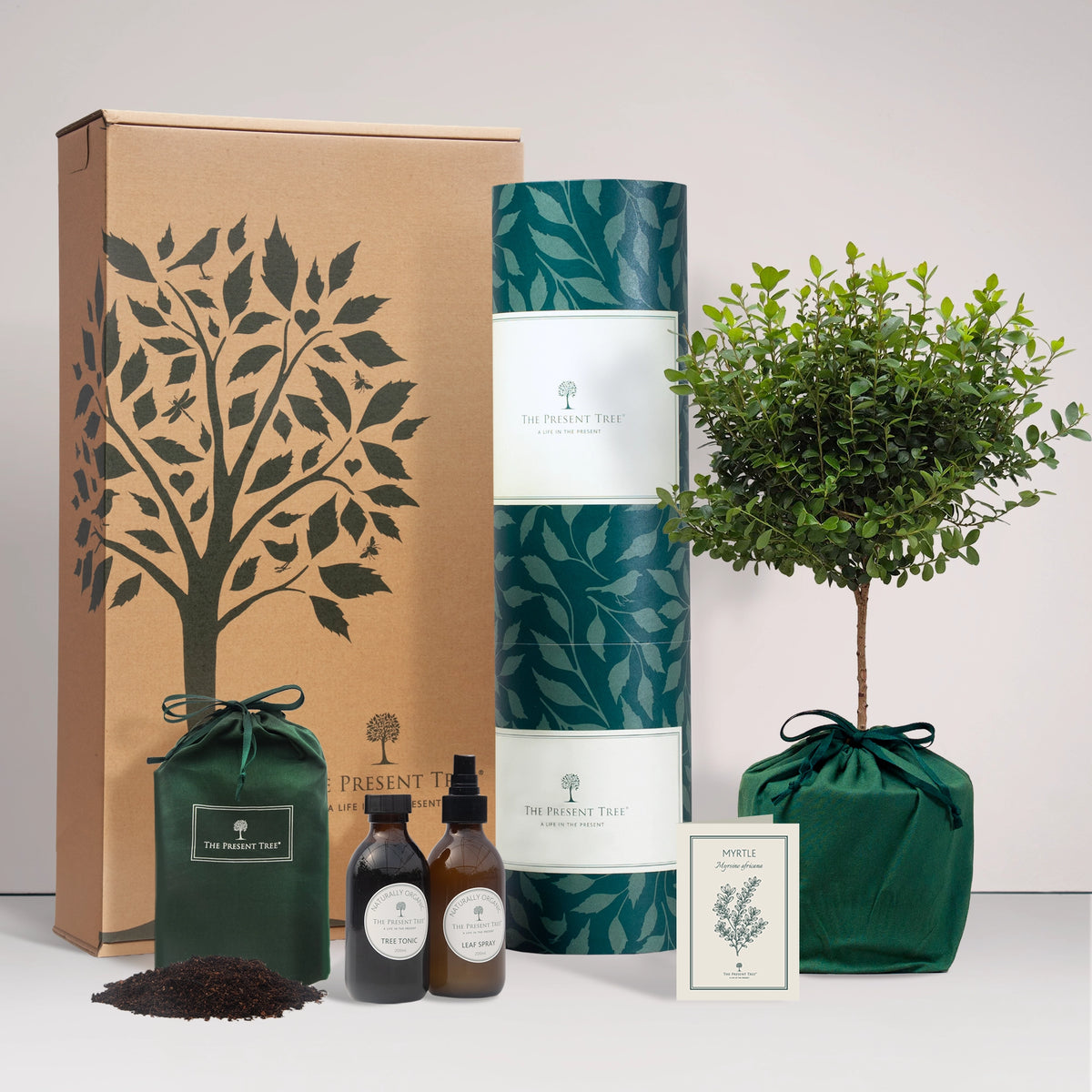 Large Myrtle tree gift in a green bag with tree care guide and The Present Tree gift hamper, including tree tonic, leaf spray and compost brick, on a plain background