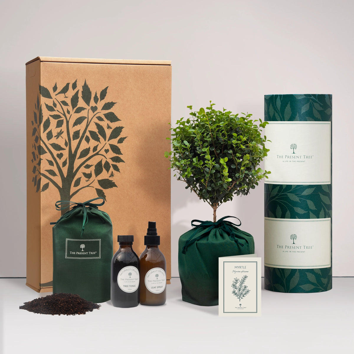 Small Myrtle tree gift in a green bag with tree care guide and The Present Tree gift hamper, including tree tonic, leaf spray and compost brick, on a plain background