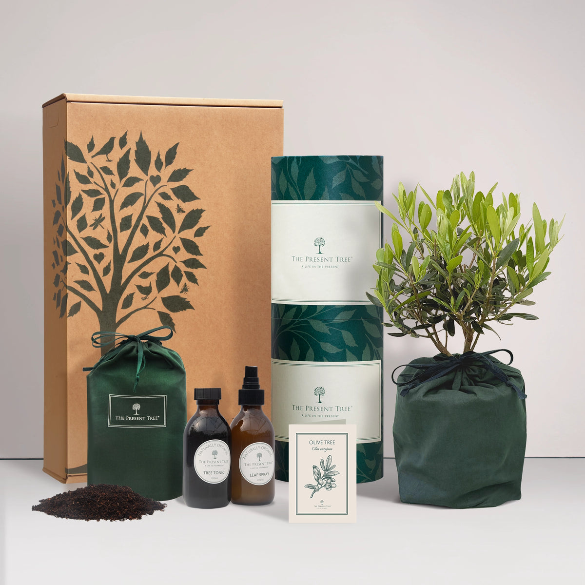 Small Olive tree gift in a green bag with tree care guide and The Present Tree gift hamper, including tree tonic, leaf spray and compost brick, on a plain background