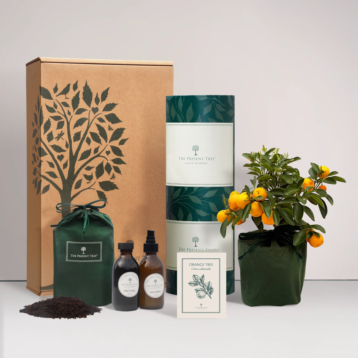 Orange tree gift in a green bag with tree care guide and The Present Tree gift hamper, including tree tonic, leaf spray and compost brick, on a plain background