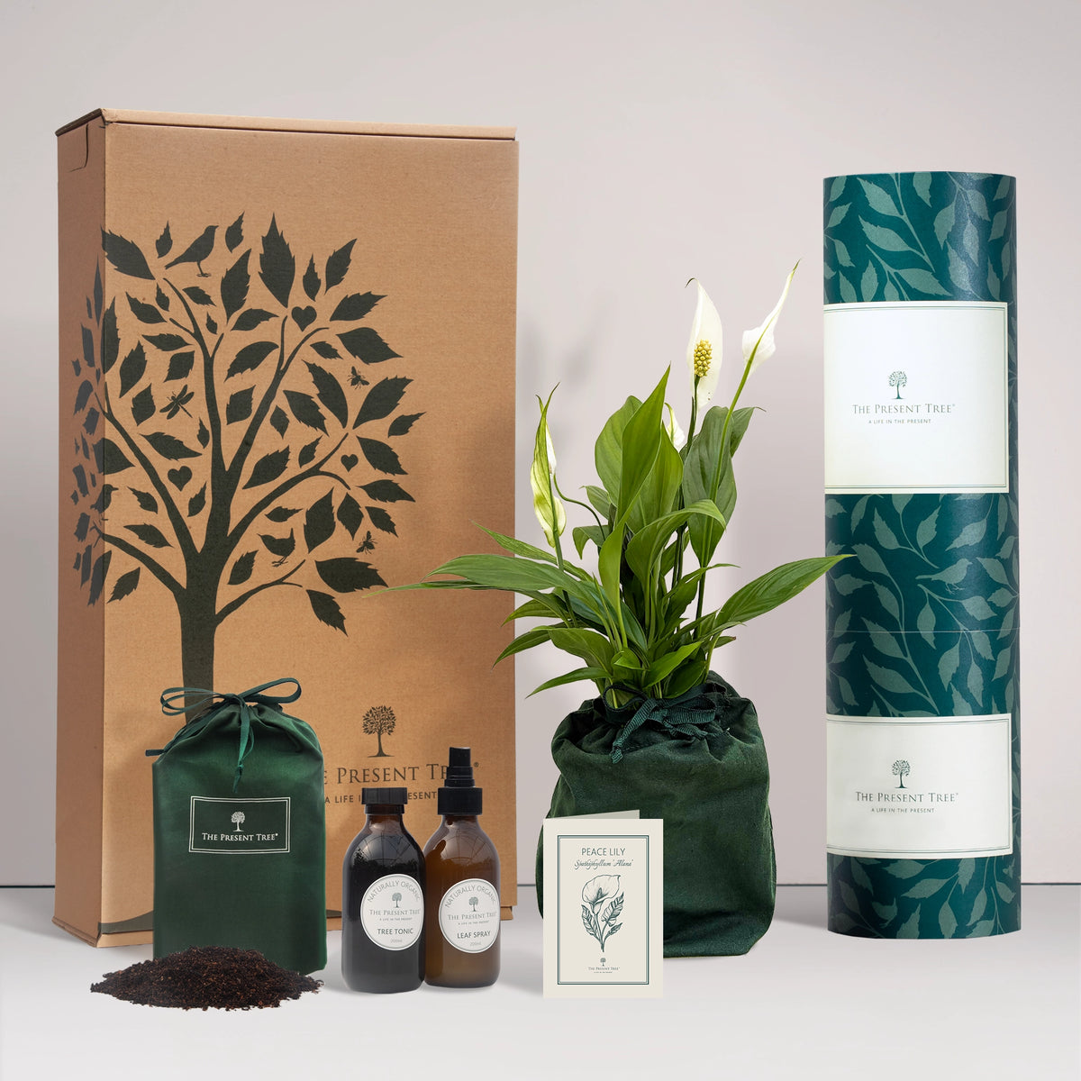 Peace Lily gift in a green bag with tree care guide and The Present Tree gift hamper, including tree tonic, leaf spray and compost brick, on a plain background