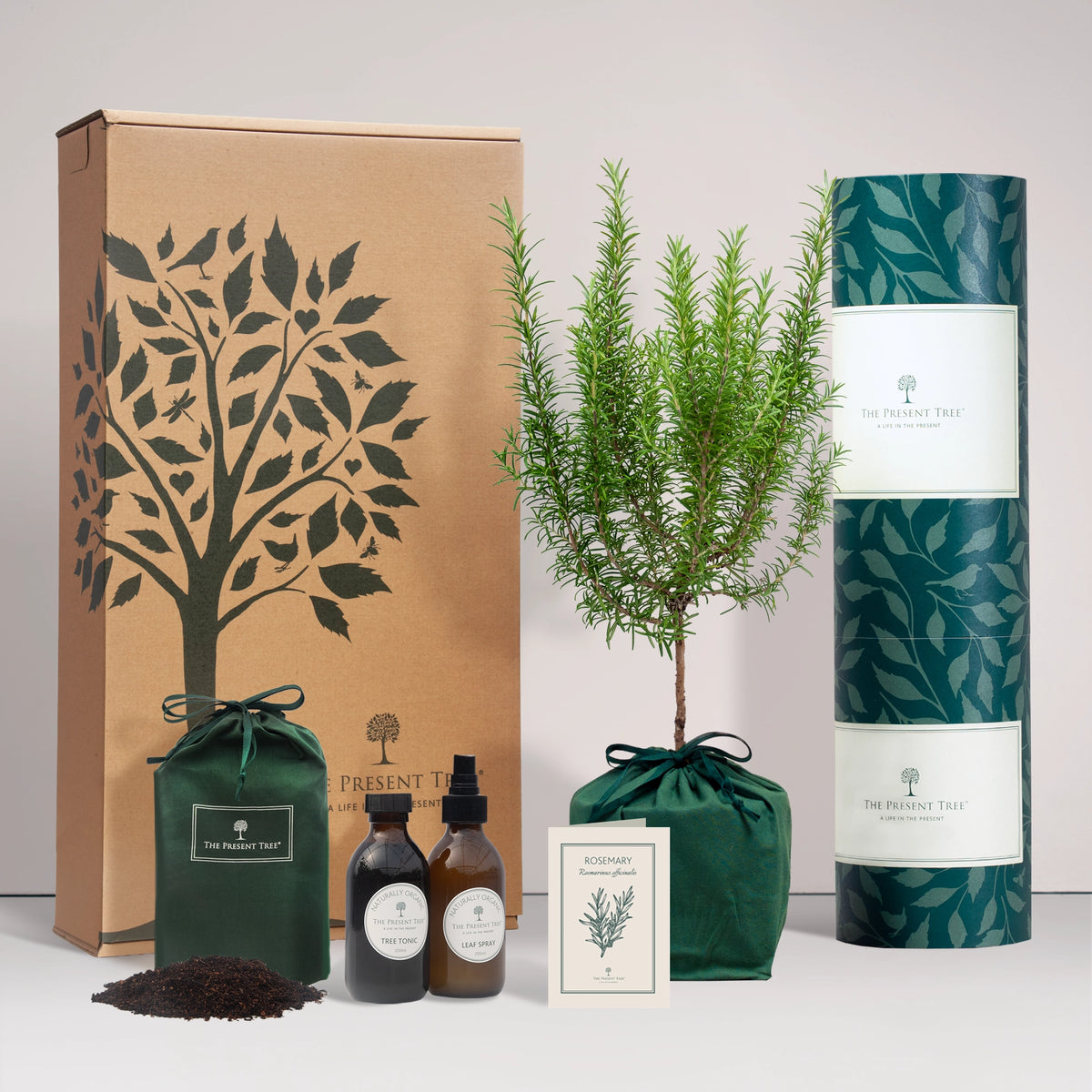 Large Rosemary tree gift in a green bag with tree care guide and The Present Tree gift hamper, including tree tonic, leaf spray and compost brick, on a plain background