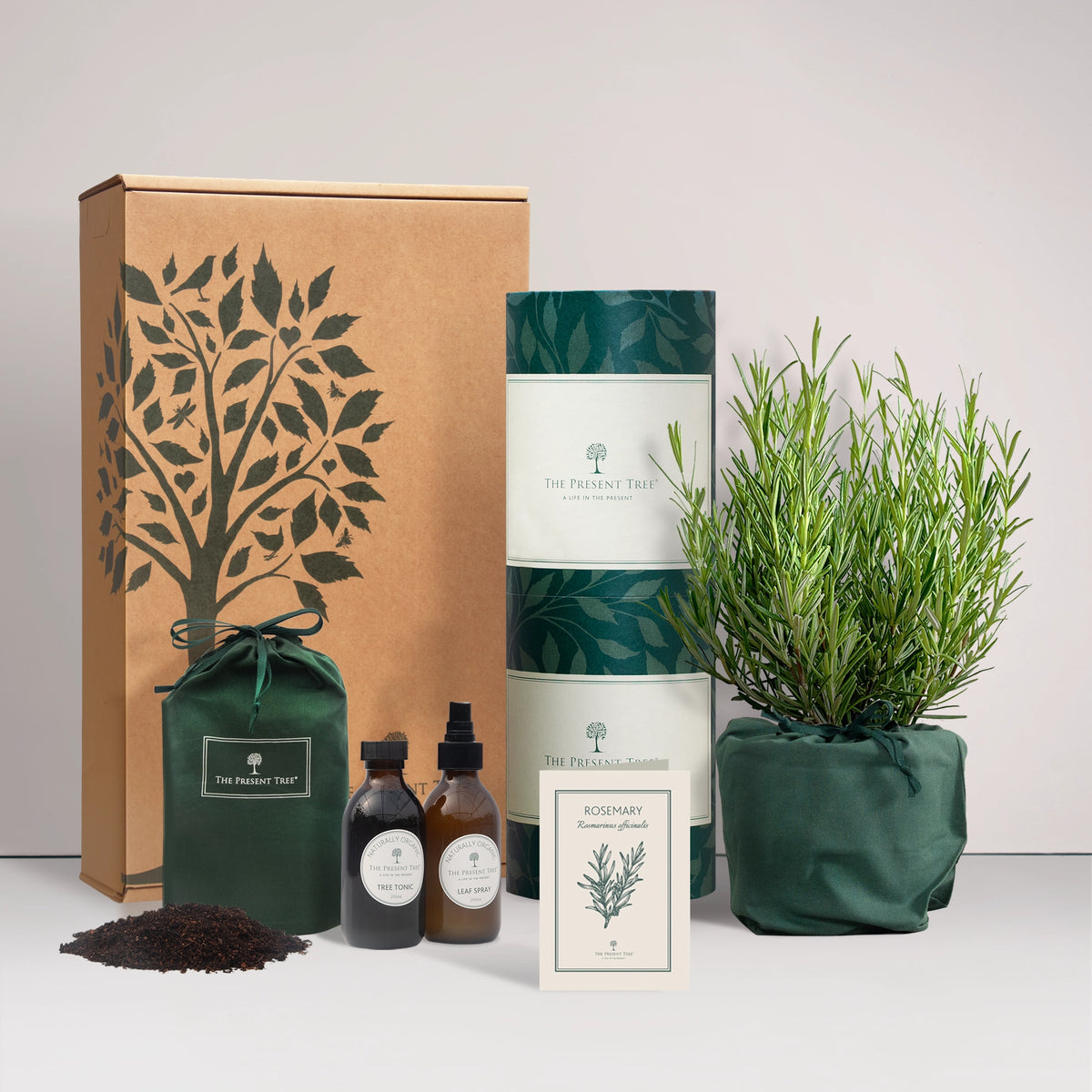 Small Rosemary tree gift in a green bag with tree care guide and The Present Tree gift hamper, including tree tonic, leaf spray and compost brick, on a plain background