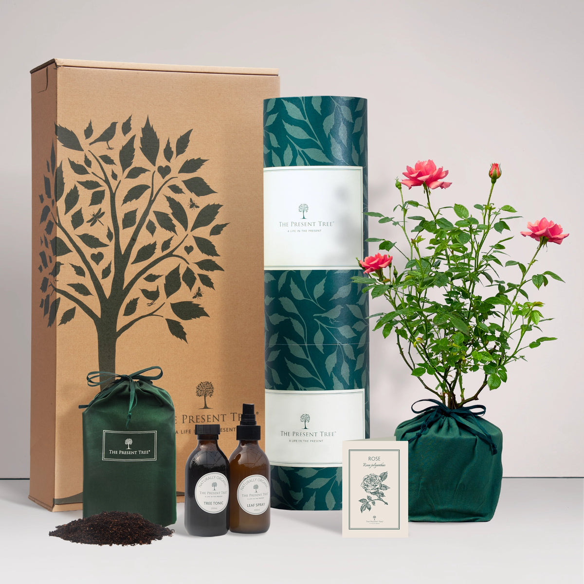 Pink Rose gift in a green bag with tree care guide and The Present Tree gift hamper, including tree tonic, leaf spray and compost brick, on a plain background