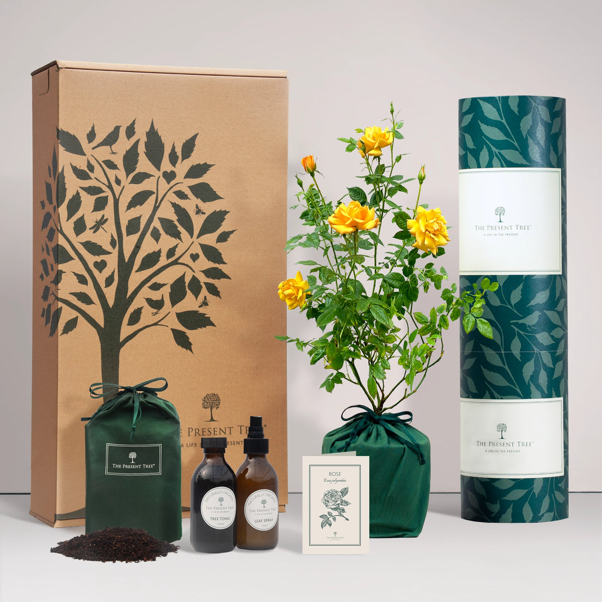 Yellow Rose gift in a green bag with tree care guide and The Present Tree gift hamper, including tree tonic, leaf spray and compost brick, on a plain background